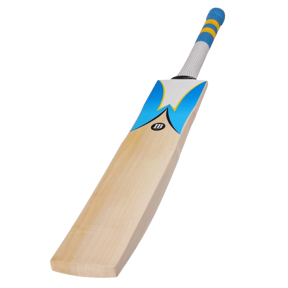 Cricket Bat